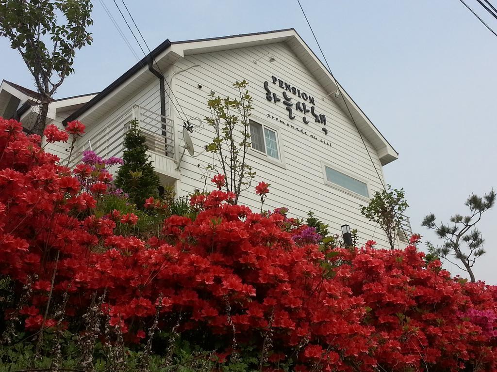 Walking Sky Pension Gapyeong Exterior photo